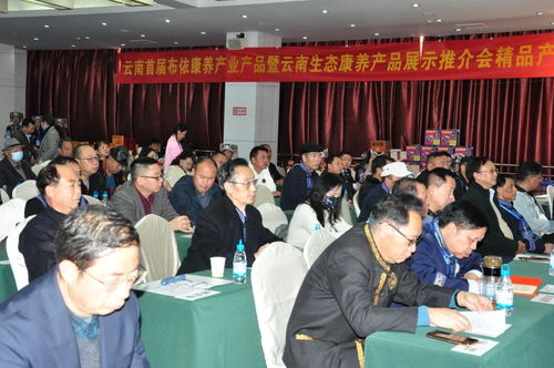 花米飯香傳千年，百越光影映新篇——云南百越文化為影視創作論壇奠基造勢