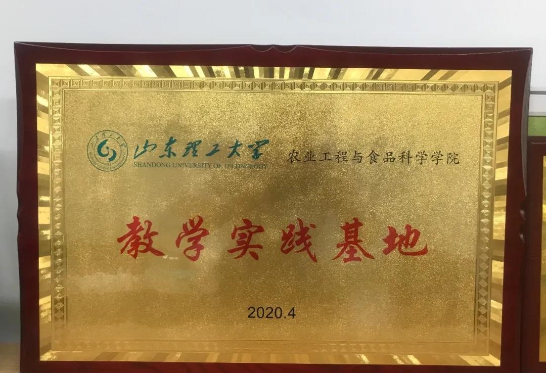 青島高新區企業與山東理工大學攜手共進，共繪影視策劃新藍圖